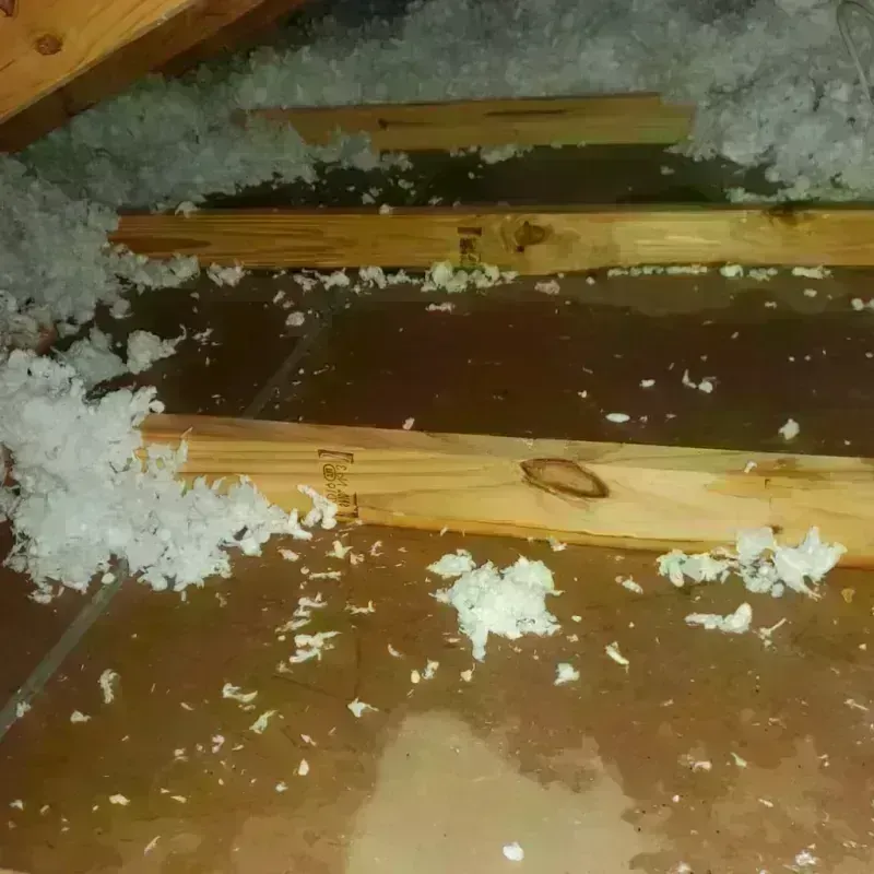 Attic Water Damage in Granville, MA